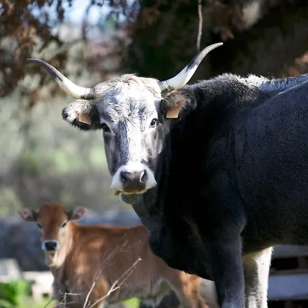 Masseria San Paolo Grande Üdülőközpont 3*